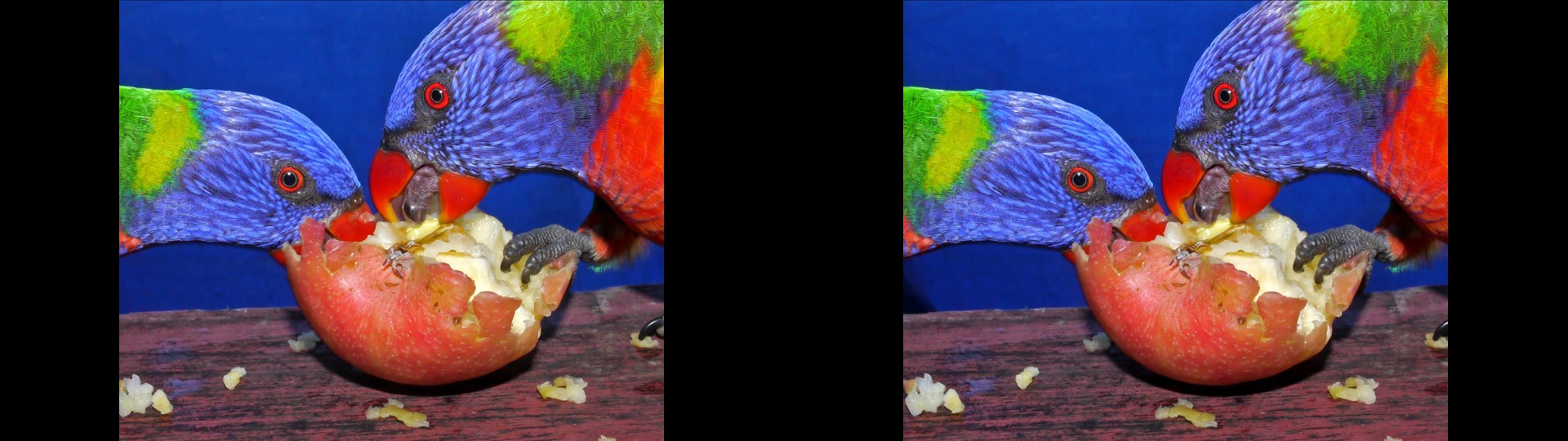 Feasting on Apple